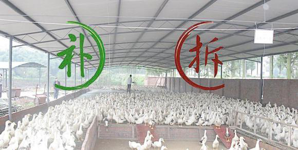 企业动迁补偿办法