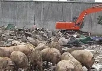 强拆行为违法