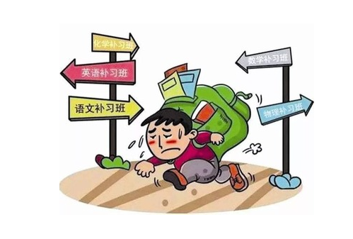 教育新规