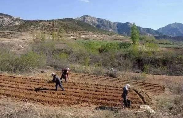 【冠领说法】开垦的荒地被征收，能获得征收补偿款吗?-图1