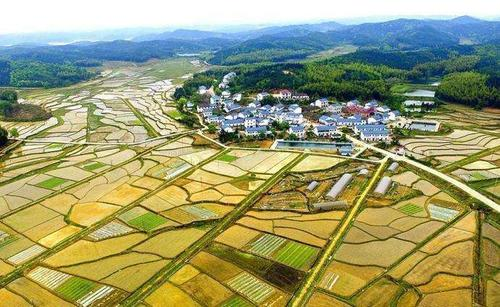 关于承包合同到期后的土地政策是什么?必须要退还土地吗