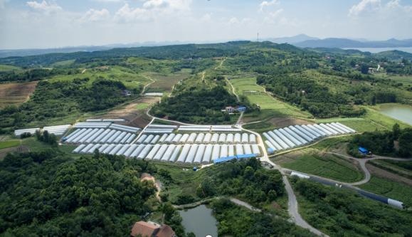 政府“任性”不公开村集体土地补偿协议，怎么办