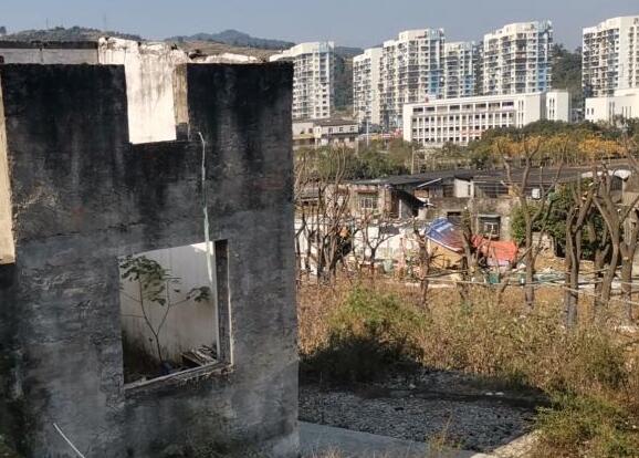 违建拆迁律师：简易房因违建为由被强拆了