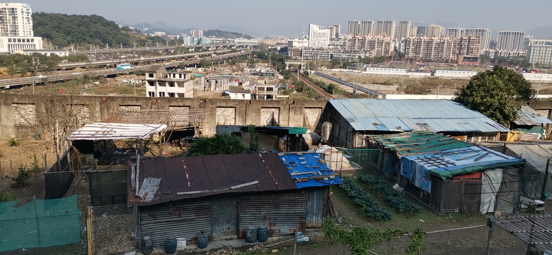 【胜诉故事】征收决定“似是而非”，冠领助力确认违法点-图3