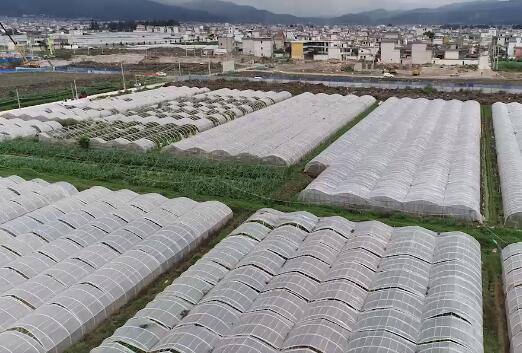 安徽拆迁律师：拆迁后安置房却迟迟不交付怎么办