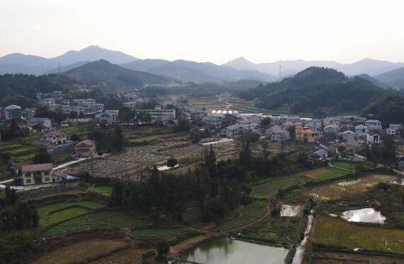 房屋征收律师：行政机关不履行征收补偿职责怎么办