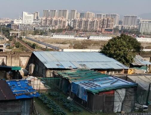 浙江拆迁补偿律师：自留地上的储藏间被强拆了合法吗
