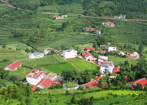 拆迁律师答复在宅基地上盖房屋只盖了一半，政府要征收怎么补偿