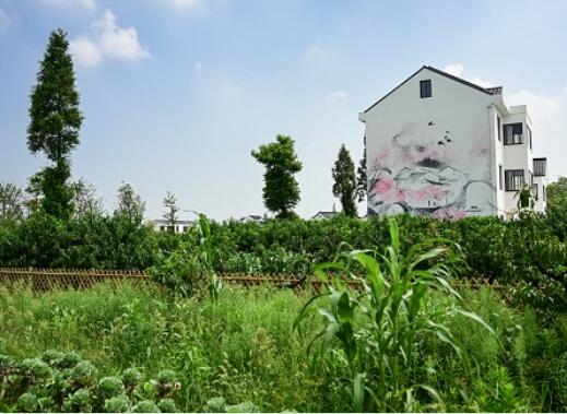 违建拆迁律师答复农村无证房必须要拆除吗